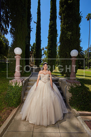 Aleena 0001