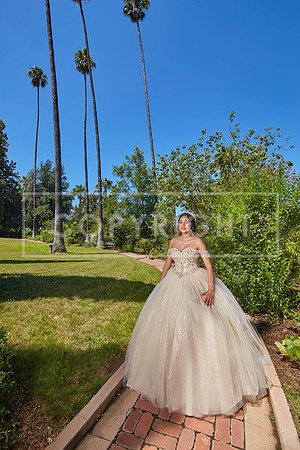 Aleena 0011